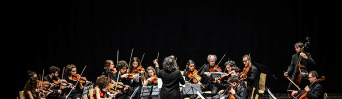 Altolivenzafestival Giovani