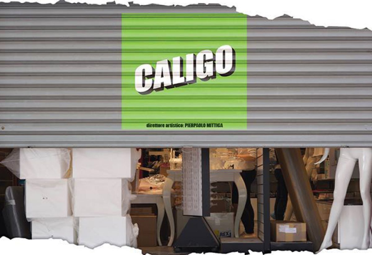 Caligo – Fotografario